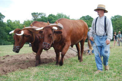 august plowing